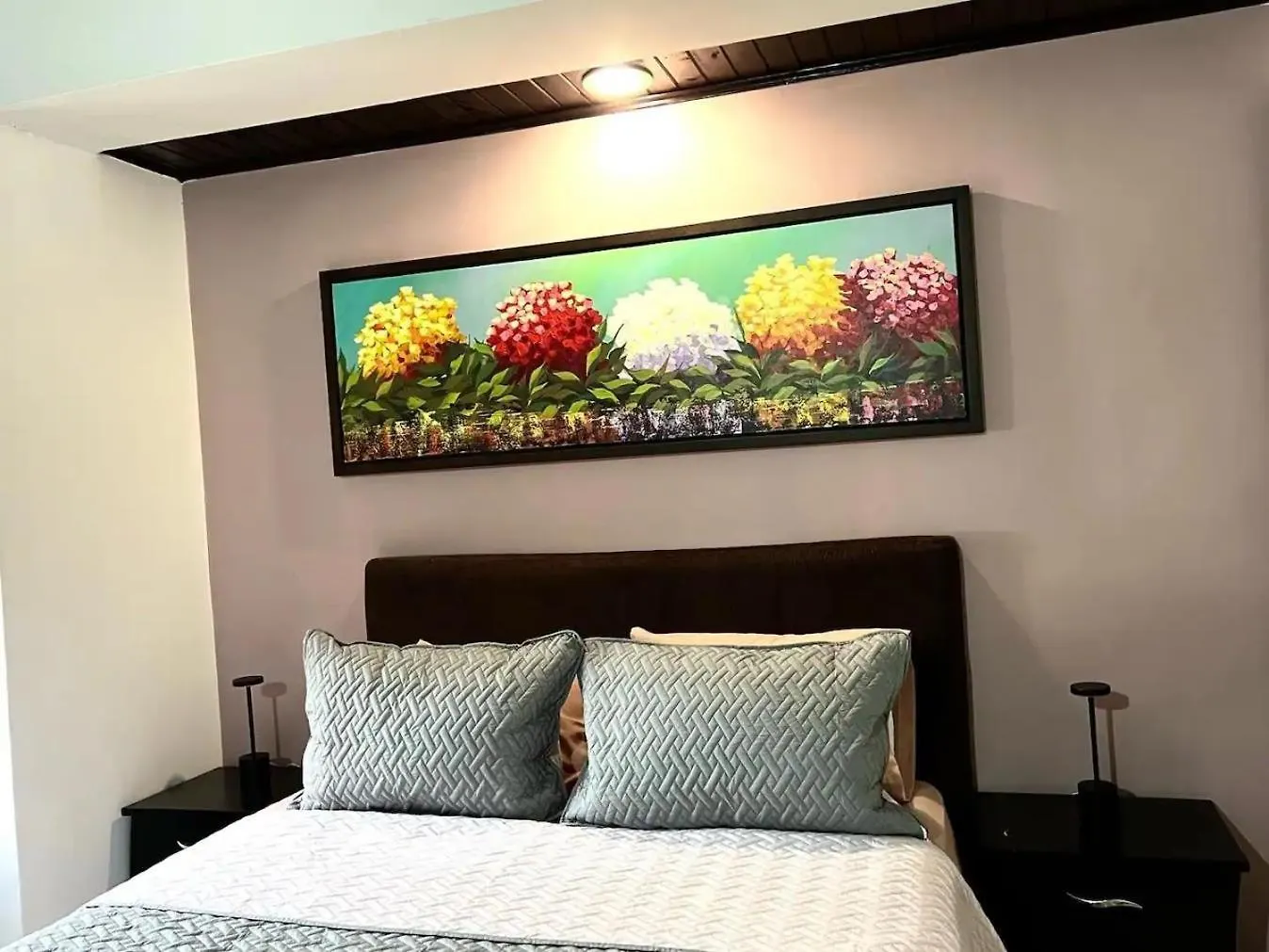 Provenza Street Medellin Living Work And Study Daire